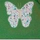 Blanca Valiente Winter Girl Green Dress Butterfly